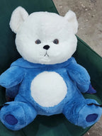 Blue Hoodie Teddy Bear